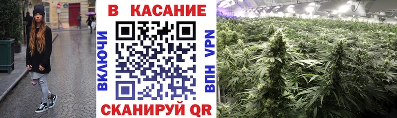Какие есть наркотики Зуевка Alpha PVP  ГАШ  Марихуана  Амфетамин  COCAIN 