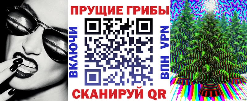 Псилоцибиновые грибы мицелий  Зуевка 